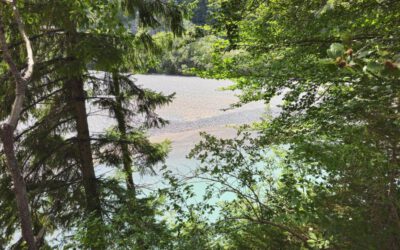 Sommerwanderungen im Ostallgäu: Was rund um den Lechfall wirklich zählt